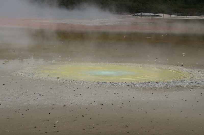 Nieuw-Zeeland 2011 - 0757